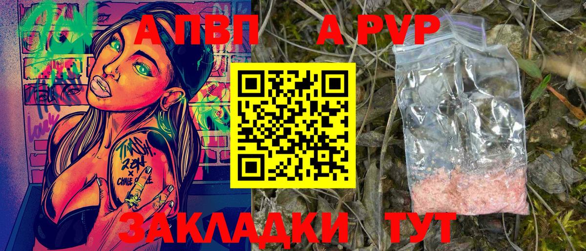 Альфа ПВП СК Курчалой