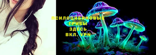 хмурый Нефтекумск