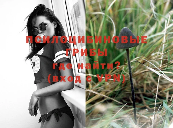 хмурый Нея