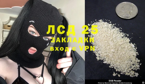 хмурый Нефтекумск