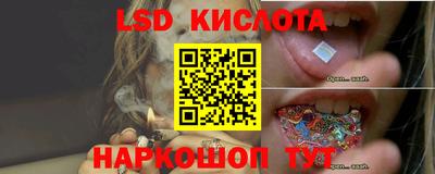 спиды Волгодонск