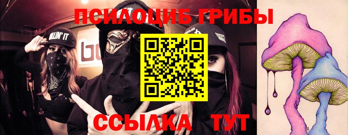 Псилоцибиновые грибы прущие грибы  Вход с VPN  Курчалой  Галлюциногенные грибы MAGIC MUSHROOMS 