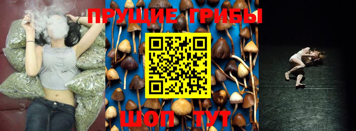 Галлюциногенные грибы Magic Shrooms Курчалой
